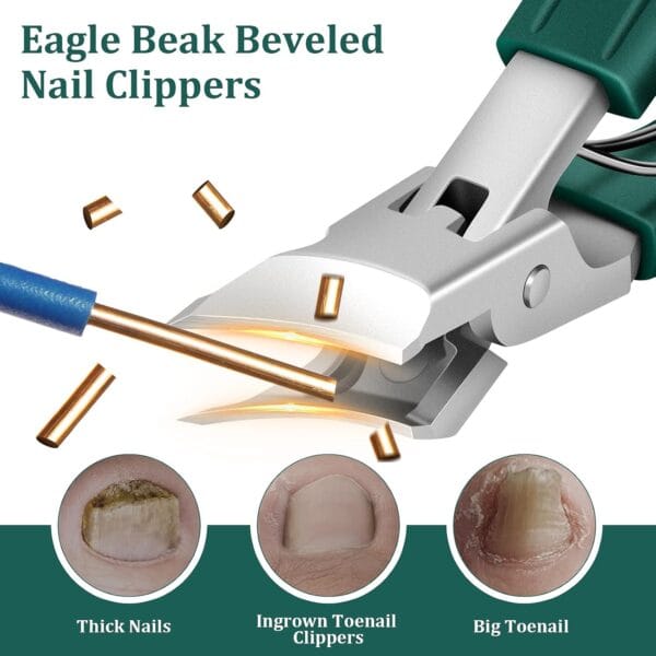 Eagle Beak Beveled Nail Clippers-Free Shipping